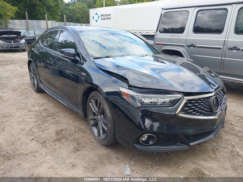 2019 Acura Tlx VIN: 19UUB3F68KA801945 Lot: 12068691