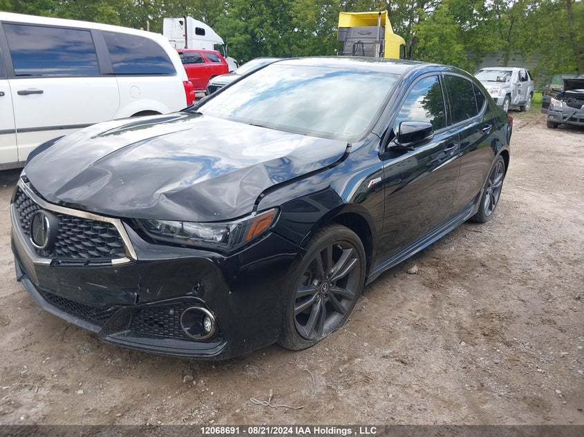 2019 Acura Tlx VIN: 19UUB3F68KA801945 Lot: 12068691