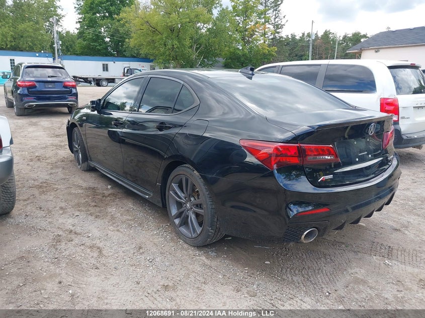2019 Acura Tlx VIN: 19UUB3F68KA801945 Lot: 12068691