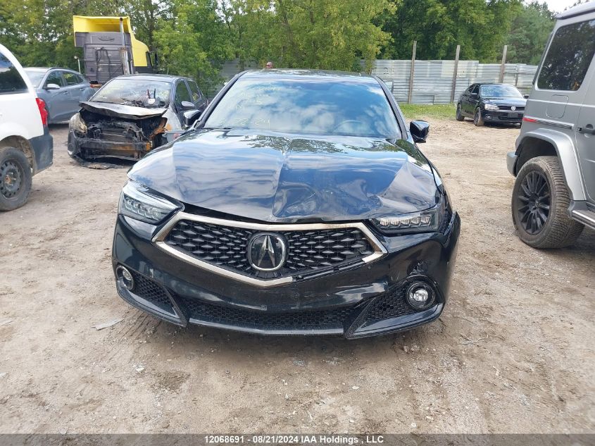 2019 Acura Tlx VIN: 19UUB3F68KA801945 Lot: 12068691
