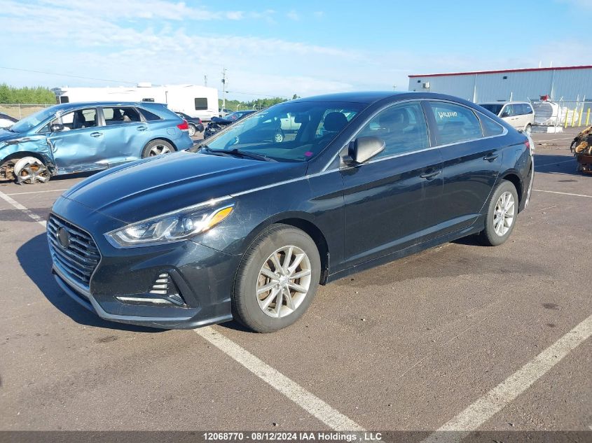 2018 Hyundai Sonata Se VIN: 5NPE24AF9JH626953 Lot: 12068770