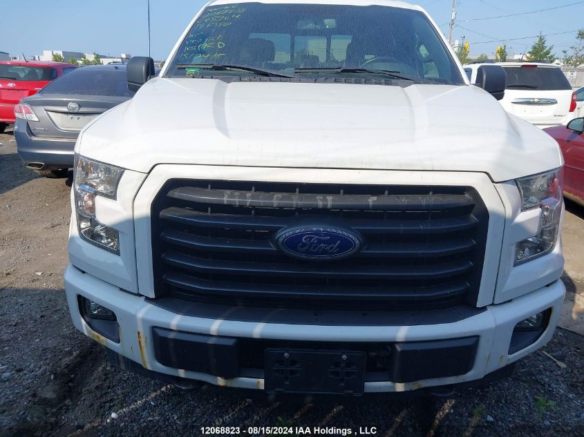 2017 Ford F-150 Xlt VIN: 1FTEW1EF1HFC65364 Lot: 12068823