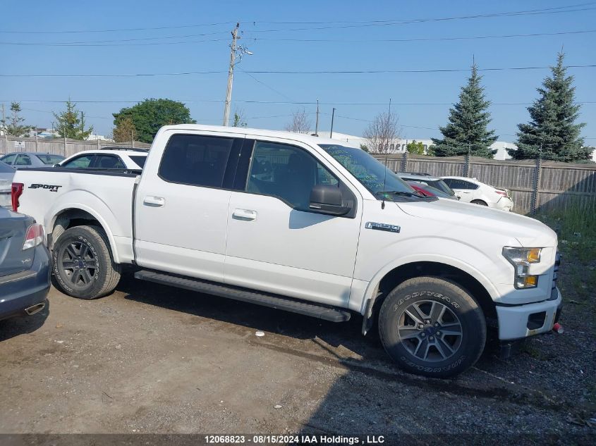 2017 Ford F-150 Xlt VIN: 1FTEW1EF1HFC65364 Lot: 12068823