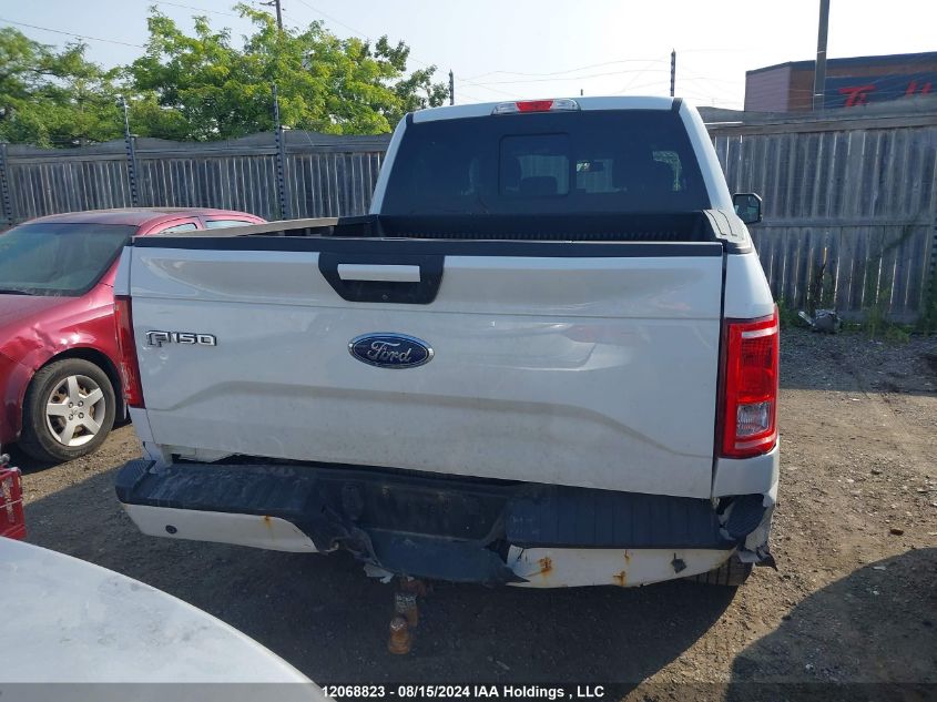 2017 Ford F-150 Xlt VIN: 1FTEW1EF1HFC65364 Lot: 12068823