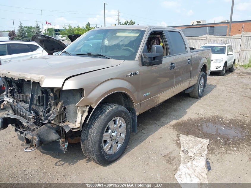 2013 Ford F-150 Xlt VIN: 1FTFW1ET0DFC45126 Lot: 12068963