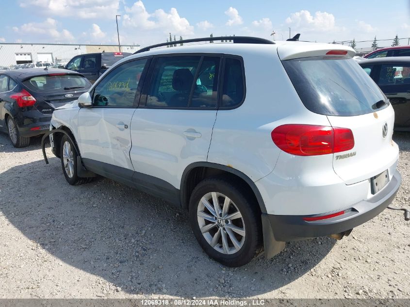 2014 Volkswagen Tiguan VIN: WVGJV3AX5EW580350 Lot: 12069318