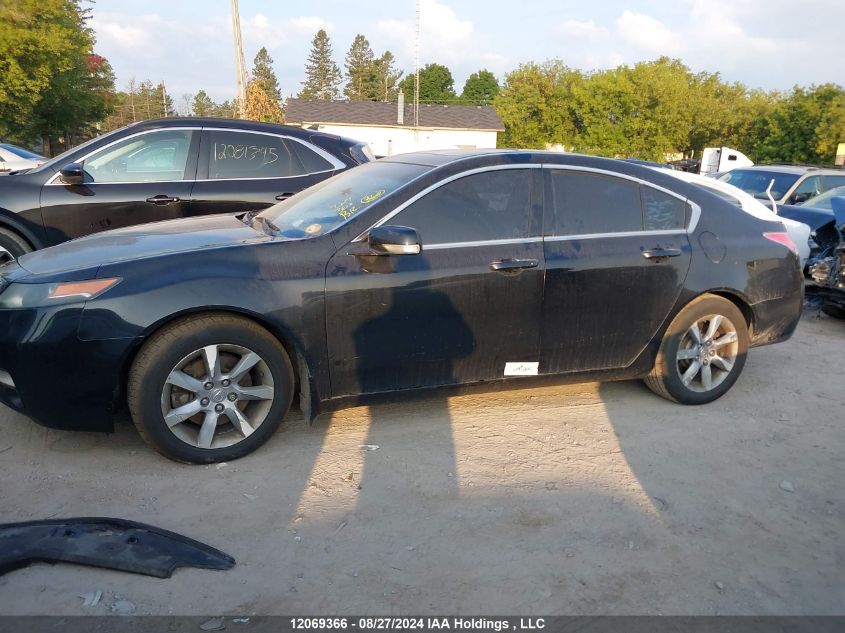 2012 Acura Tl VIN: 19UUA8F24CA801598 Lot: 12069366