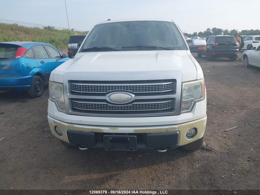 2009 Ford F150 Supercrew VIN: 1FTPW14V09FB38687 Lot: 12069379