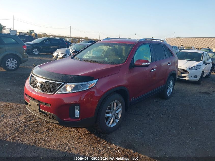 5XYKTDA76EG431530 2014 Kia Sorento