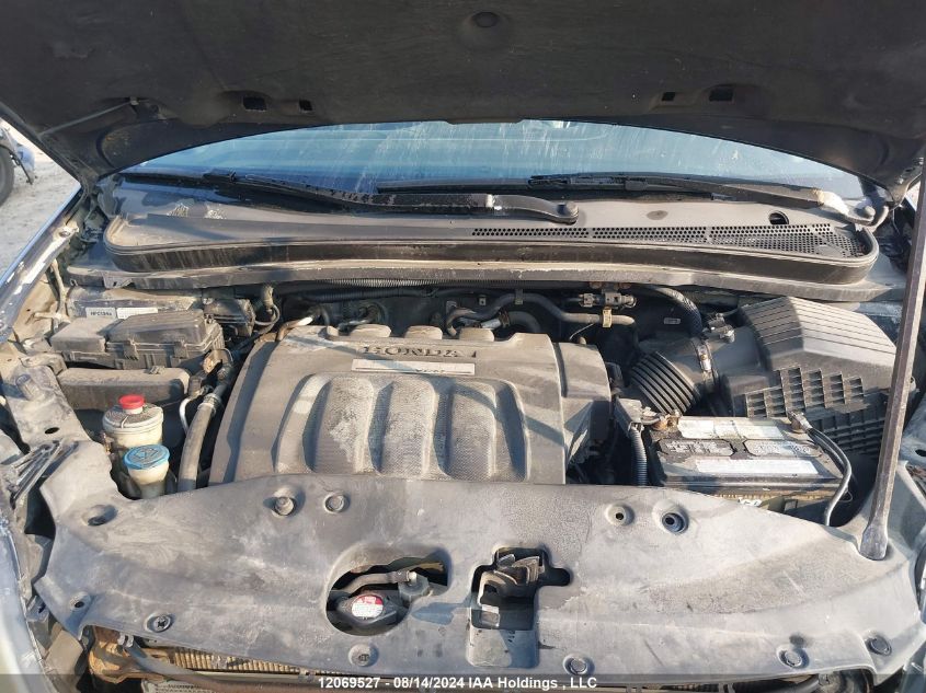 2007 Honda Odyssey VIN: 5FNRL38847B501981 Lot: 12069527