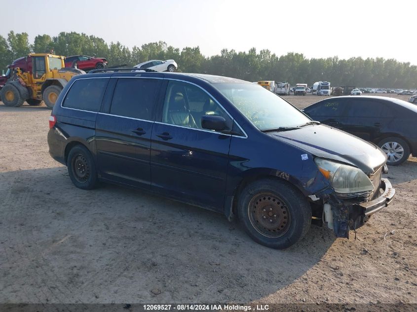 2007 Honda Odyssey VIN: 5FNRL38847B501981 Lot: 12069527