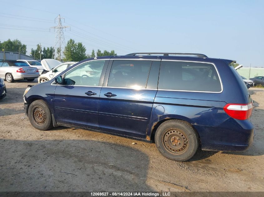 2007 Honda Odyssey VIN: 5FNRL38847B501981 Lot: 12069527