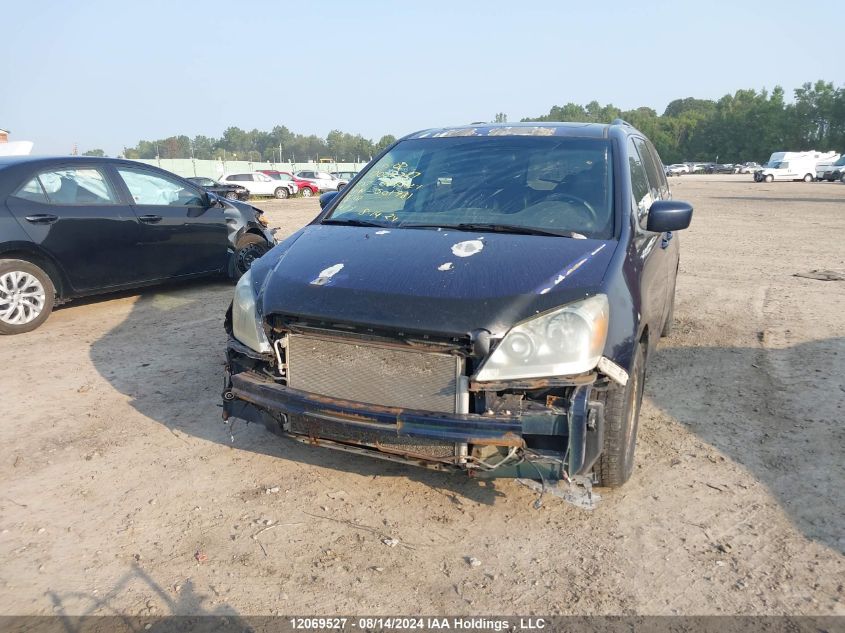 2007 Honda Odyssey VIN: 5FNRL38847B501981 Lot: 12069527