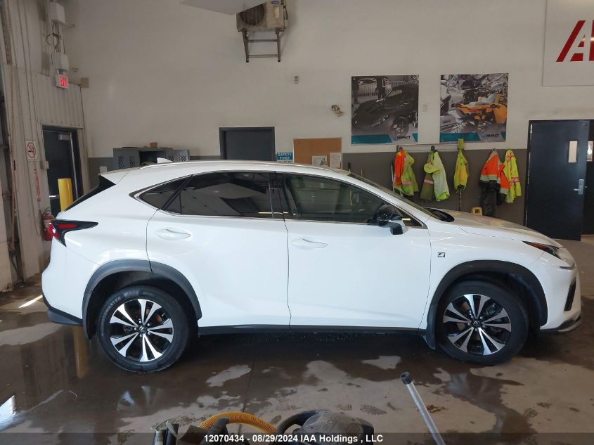 2019 Lexus Nx 300 VIN: JTJBARBZ9K2179746 Lot: 12070434