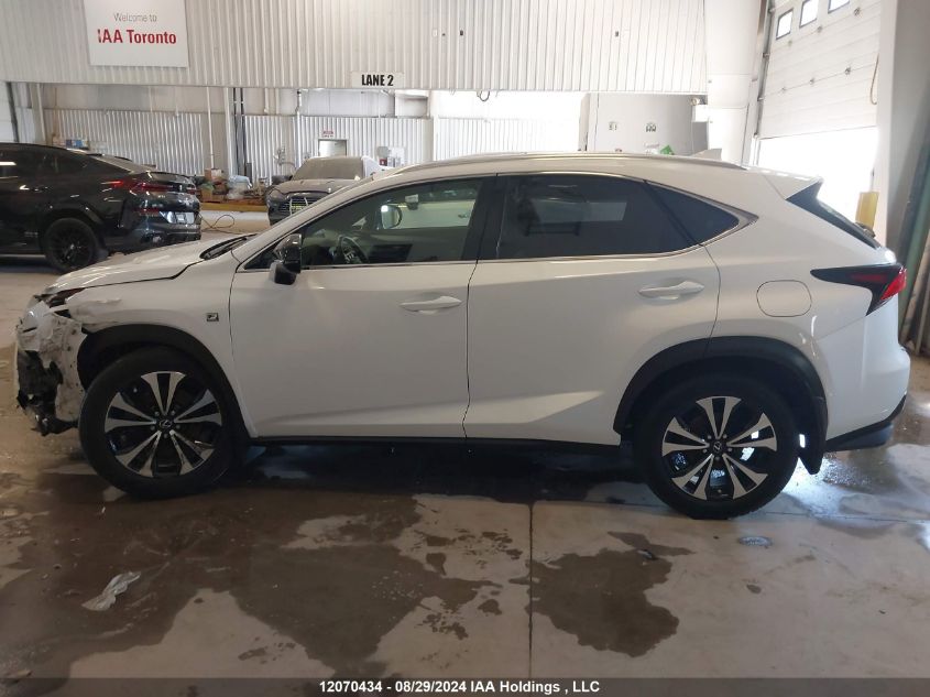 2019 Lexus Nx 300 VIN: JTJBARBZ9K2179746 Lot: 12070434