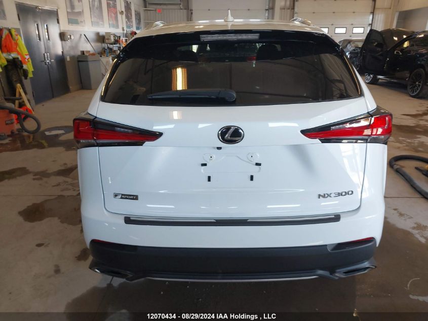 2019 Lexus Nx 300 VIN: JTJBARBZ9K2179746 Lot: 12070434