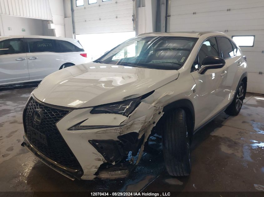 2019 Lexus Nx 300 VIN: JTJBARBZ9K2179746 Lot: 12070434