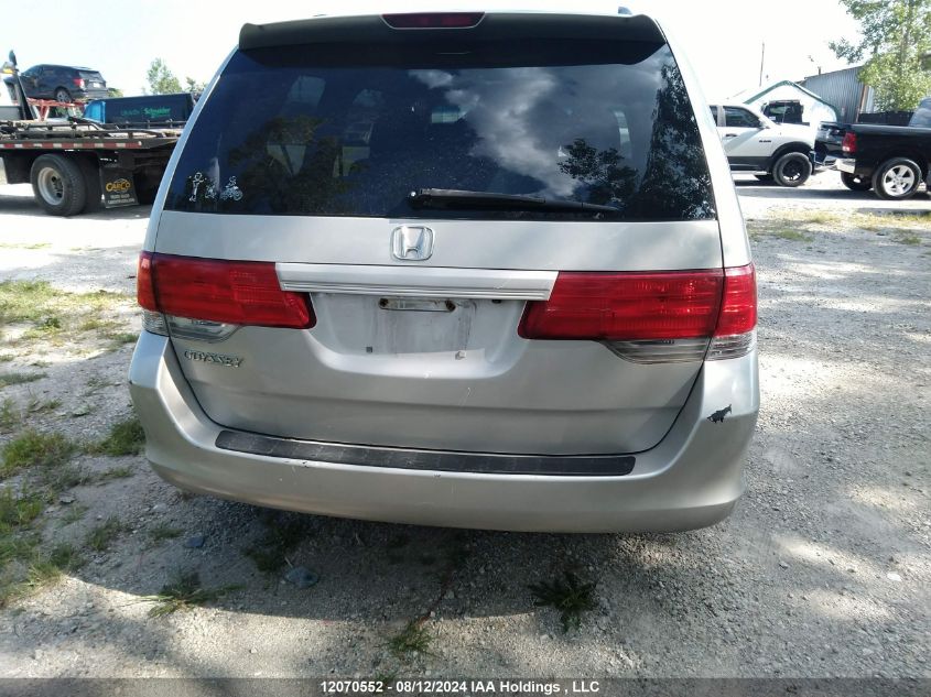 2008 Honda Odyssey Exl VIN: 5FNRL387X8B507003 Lot: 12070552