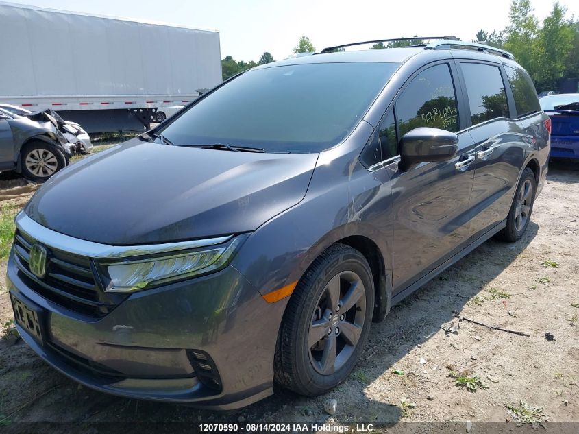 2022 Honda Odyssey VIN: 5FNRL6H43NB504480 Lot: 12070590