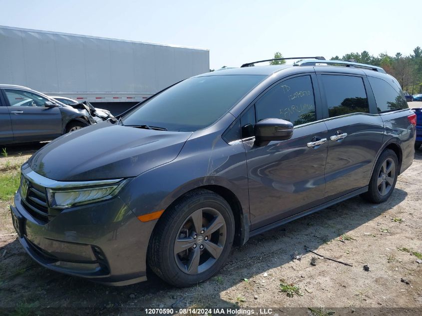 2022 Honda Odyssey VIN: 5FNRL6H43NB504480 Lot: 12070590