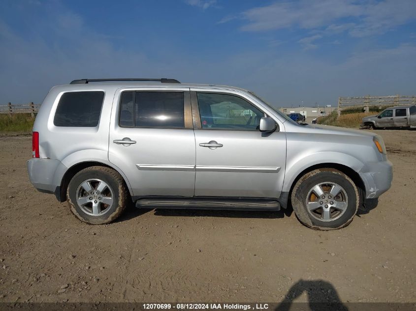 2009 Honda Pilot VIN: 5FNYF486X9B504491 Lot: 12070699