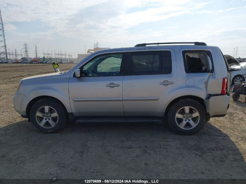 2009 Honda Pilot VIN: 5FNYF486X9B504491 Lot: 12070699