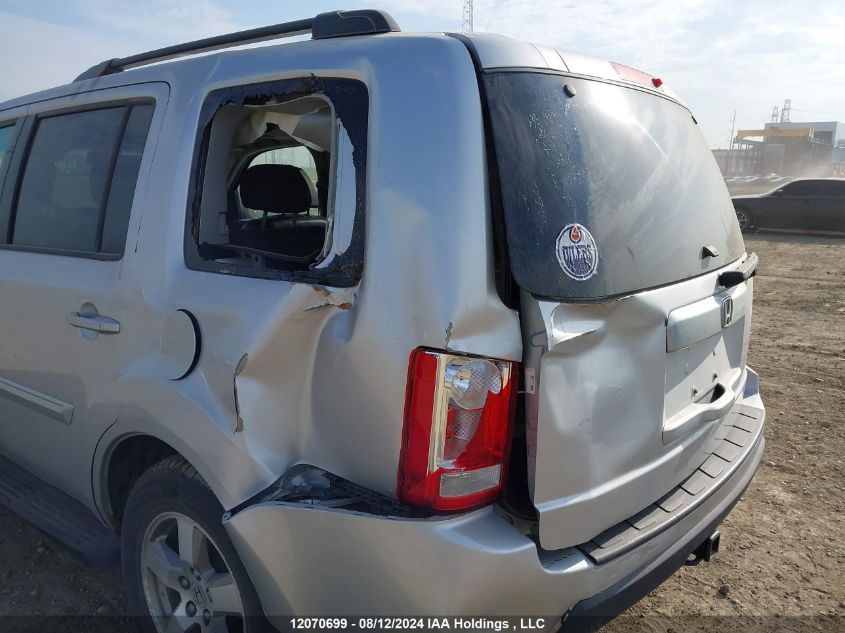 2009 Honda Pilot VIN: 5FNYF486X9B504491 Lot: 12070699