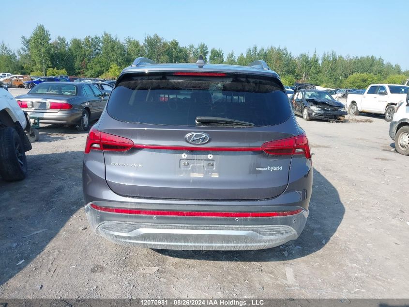 2022 Hyundai Santa Fe Limited VIN: KM8S5DA1XNU024729 Lot: 12070981