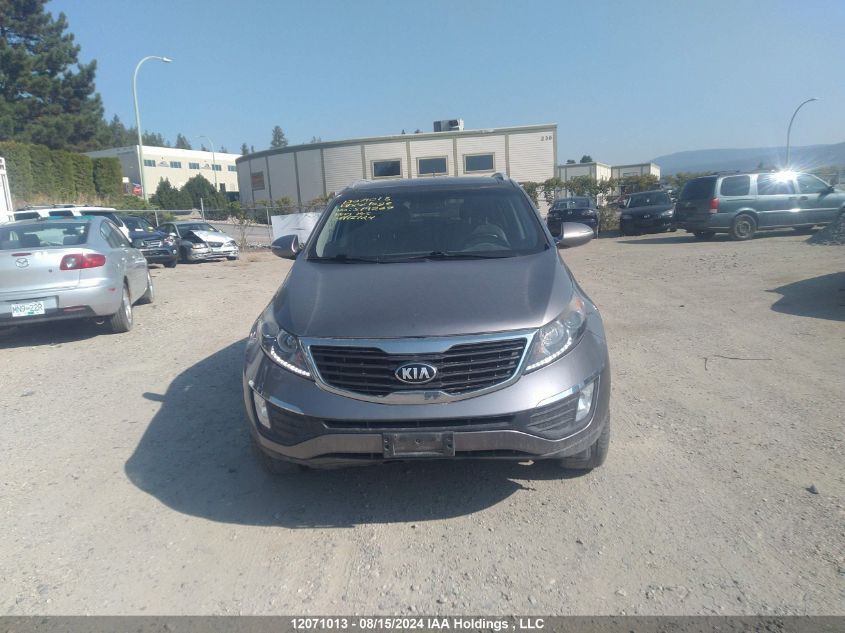 2013 Kia Sportage VIN: KNDPCCA28D7519267 Lot: 12071013