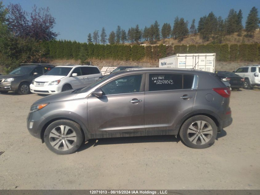 2013 Kia Sportage VIN: KNDPCCA28D7519267 Lot: 12071013