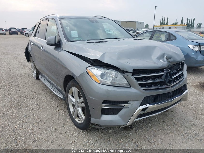 2014 Mercedes-Benz Ml 350 VIN: 4JGDA2EB3EA307695 Lot: 12071033