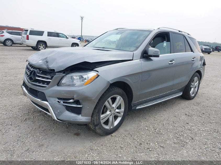 2014 Mercedes-Benz Ml 350 VIN: 4JGDA2EB3EA307695 Lot: 12071033