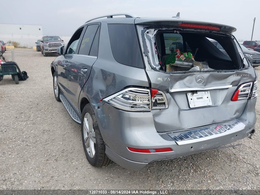 2014 Mercedes-Benz Ml 350 VIN: 4JGDA2EB3EA307695 Lot: 12071033