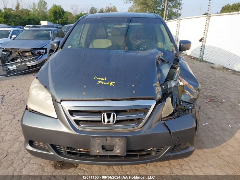 2006 Honda Odyssey Ex VIN: 5FNRL38476B508872 Lot: 12071150