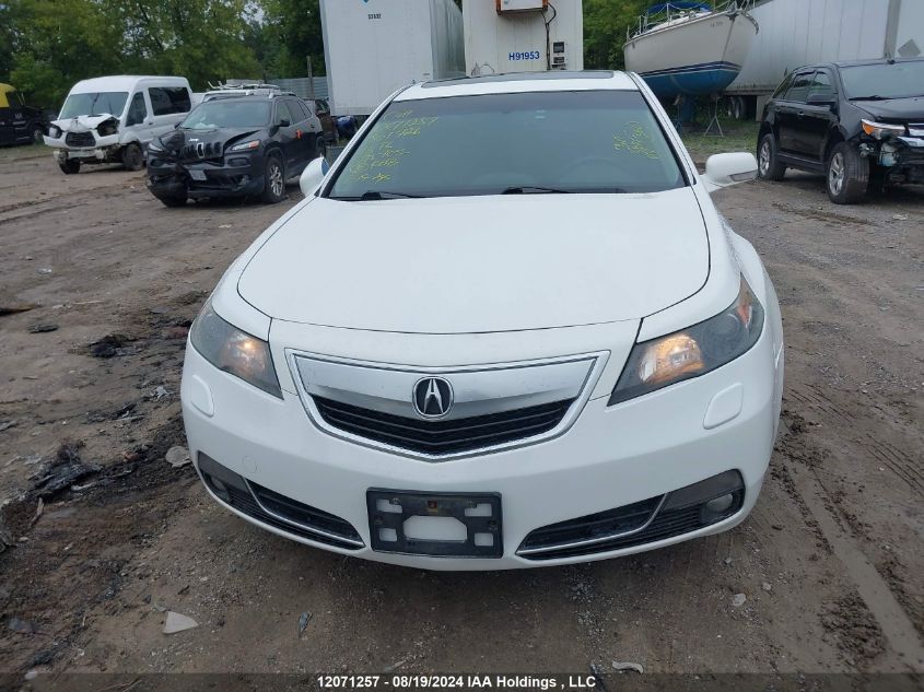 2013 Acura Tl VIN: 19UUA9F56DA801426 Lot: 12071257