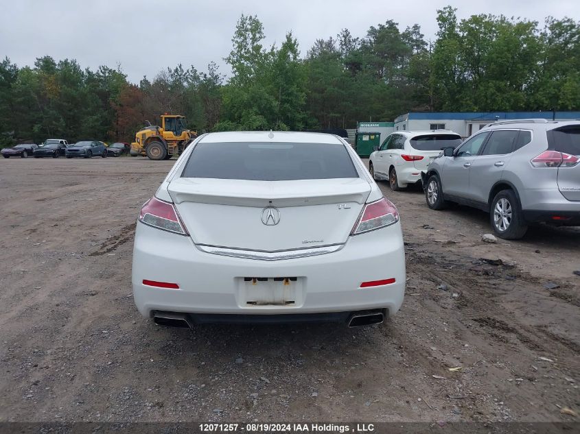 2013 Acura Tl VIN: 19UUA9F56DA801426 Lot: 12071257