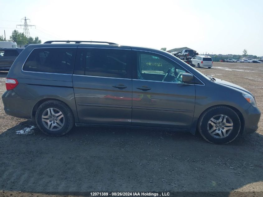 2007 Honda Odyssey VIN: 5FNRL38827B509335 Lot: 12071389