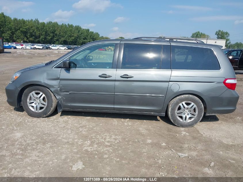 2007 Honda Odyssey VIN: 5FNRL38827B509335 Lot: 12071389