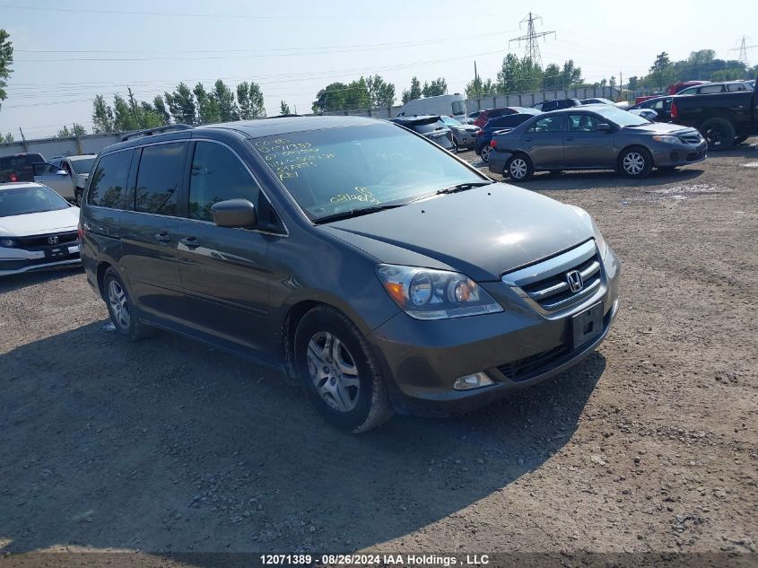 2007 Honda Odyssey VIN: 5FNRL38827B509335 Lot: 12071389