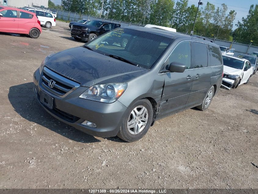 2007 Honda Odyssey VIN: 5FNRL38827B509335 Lot: 12071389