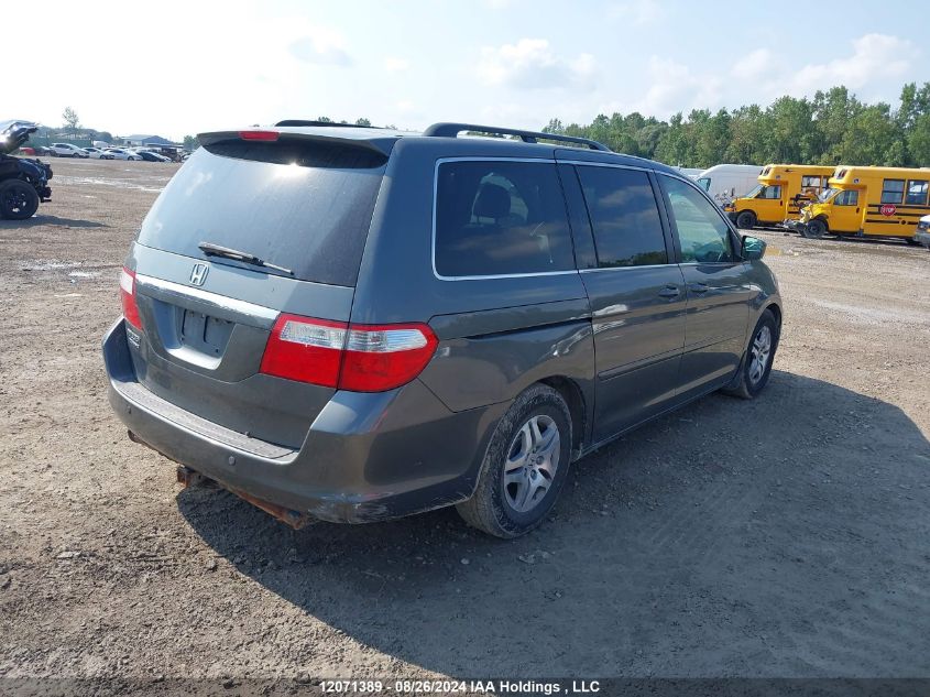 2007 Honda Odyssey VIN: 5FNRL38827B509335 Lot: 12071389