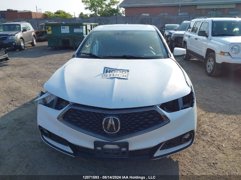 2018 Acura Tlx VIN: 19UUB1F69JA800984 Lot: 12071593