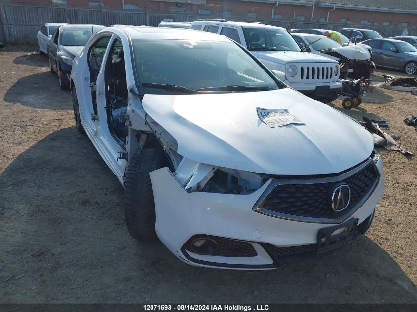 2018 Acura Tlx VIN: 19UUB1F69JA800984 Lot: 12071593