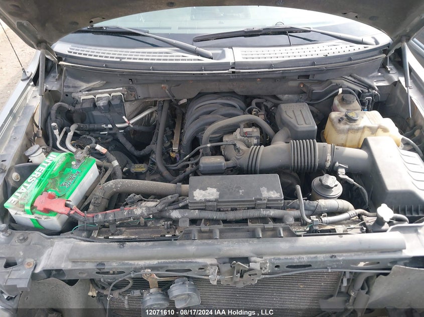 2010 Ford F-150 VIN: 1FTEX1E87AFA79770 Lot: 12071610