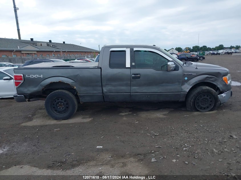 2010 Ford F-150 VIN: 1FTEX1E87AFA79770 Lot: 12071610