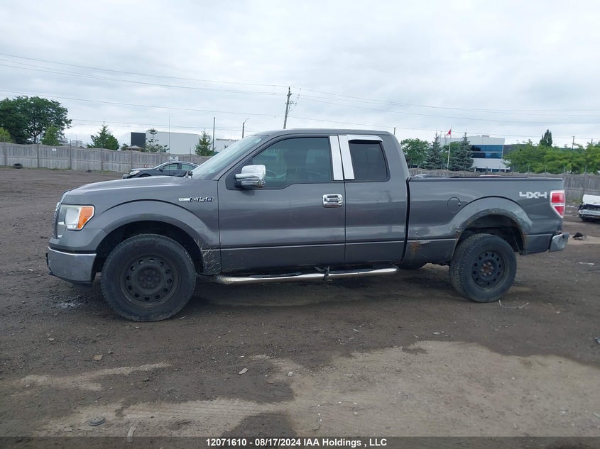 2010 Ford F-150 VIN: 1FTEX1E87AFA79770 Lot: 12071610