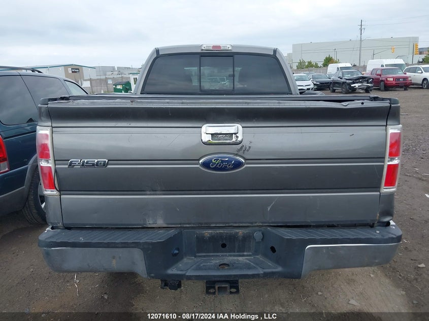 2010 Ford F-150 VIN: 1FTEX1E87AFA79770 Lot: 12071610