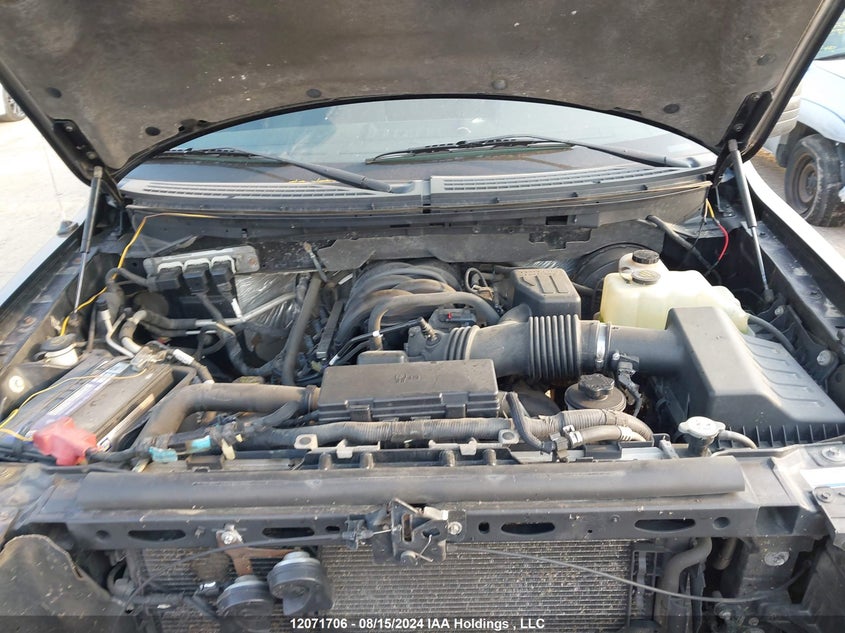 2009 Ford F150 Supercrew VIN: 1FTRW14889FB44577 Lot: 12071706