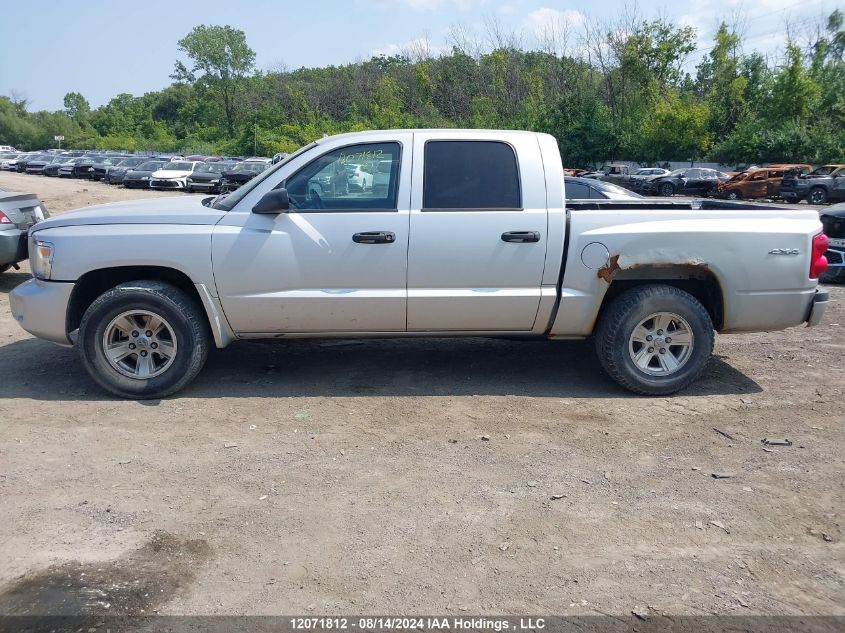 2011 Dodge Dakota Slt VIN: 1D7RW3GKXBS695924 Lot: 12071812