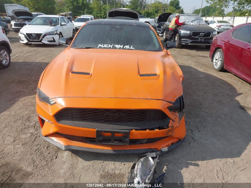 2021 Ford Mustang VIN: 1FA6P8TH7M5100519 Lot: 12072042